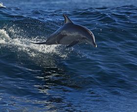 Town Centre - Darwin Holiday 1
