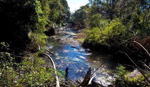 Coramba Nature Reserve - Darwin Holiday 1