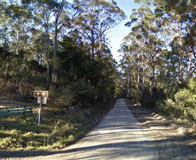 Box Cutting Rainforest Walk - Darwin Holiday 0