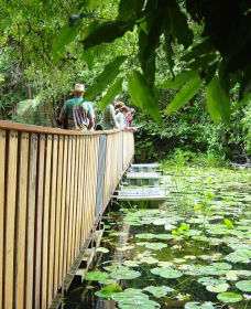 Rosebank NSW Darwin Holiday