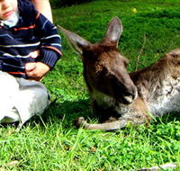 Bunbury Wildlife Park - Darwin Holiday
