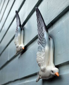 Kingstudio Gallery - Darwin Holiday 5