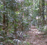 Big Scrub loop walking track - Darwin Holiday