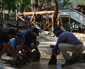 Cedar Creek Goldfield - Darwin Holiday 2