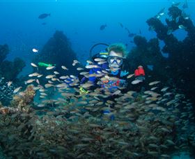 Aarhus Dive Site - Darwin Holiday 0