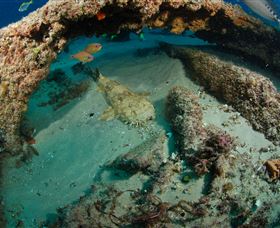 Aarhus Dive Site - Darwin Holiday 3