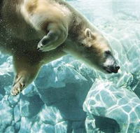 Australia's Sea World - Darwin Holiday