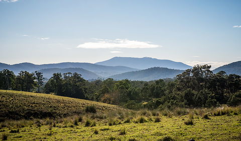 Biamanga National Park - Darwin Holiday 3