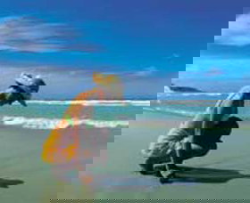 Diamond Beach - Darwin Holiday 0