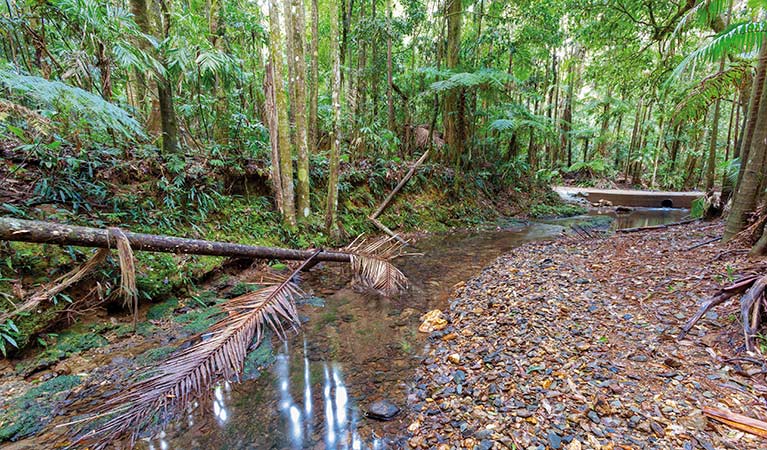 Karangi NSW Darwin Holiday