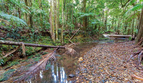 Ulidarra National Park - Darwin Holiday 0