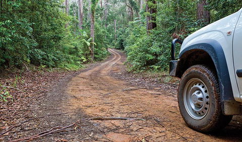 Ulidarra National Park - Darwin Holiday 2