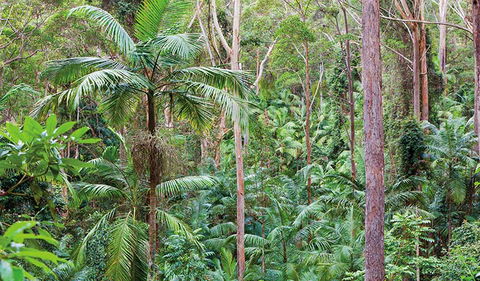 Ulidarra National Park - Darwin Holiday 3