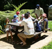 The Pines picnic area - Darwin Holiday