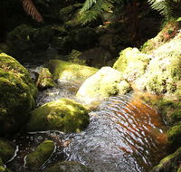 South East Forests National Park - Darwin Holiday