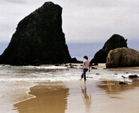 Glasshouse Rocks And Pillow Lava - Darwin Holiday 1