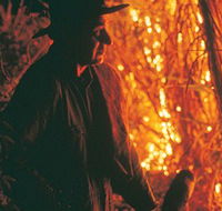 The Shed Gallery - Darwin Holiday