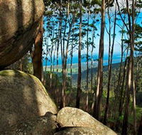Mount Gulaga Mount Dromedary Walk - Darwin Holiday