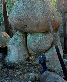 Mount Gulaga (Mount Dromedary) Walk - Darwin Holiday 1