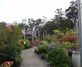 Abundance Lifestyle And Garden - Darwin Holiday 6