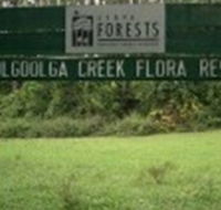 Woolgoolga Creek Flora Reserve - Darwin Holiday