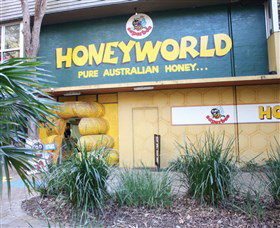 Superbee Honeyworld Gold Coast - Darwin Holiday 0