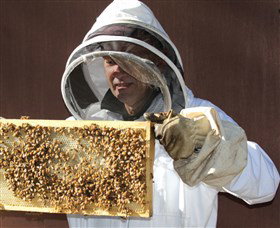 Superbee Honeyworld Gold Coast - Darwin Holiday 1