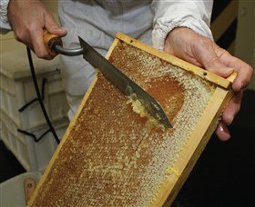 Superbee Honeyworld Gold Coast - Darwin Holiday 2