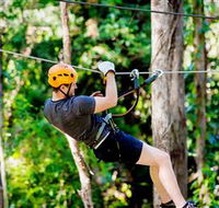 TreeTop Challenge Currumbin - Darwin Holiday