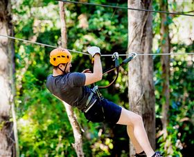 TreeTop Challenge Currumbin - Darwin Holiday 0