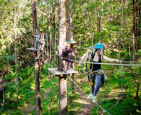 TreeTop Challenge Currumbin - Darwin Holiday 1