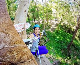 TreeTop Challenge Currumbin - Darwin Holiday 3