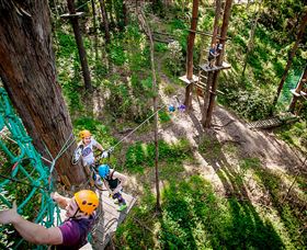 TreeTop Challenge Currumbin - Darwin Holiday 2