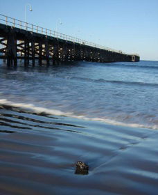 Jetty Beach - Darwin Holiday 0