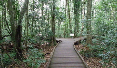 Victoria Park Boardwalk - Darwin Holiday 0