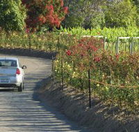 Cassegrain Wines - Darwin Holiday