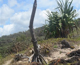 Chinamans Beach Evans Head - Darwin Holiday 2