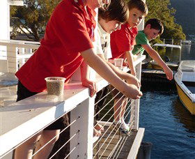 Dunbogan Boatshed - Darwin Holiday 3