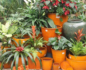 Diamond Waters Garden Nursery - Darwin Holiday 1