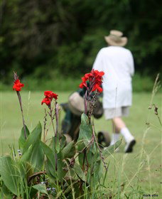 Teven Valley Golf Course - Darwin Holiday 3