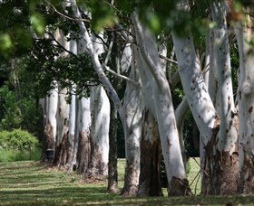 Teven Valley Golf Course - Darwin Holiday 1