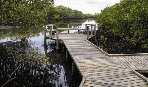 Walk On Water Walking Track - Darwin Holiday 1