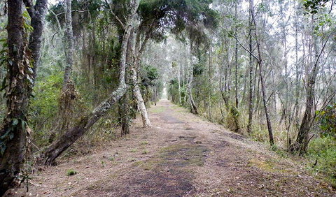 Walk On Water Walking Track - Darwin Holiday 2