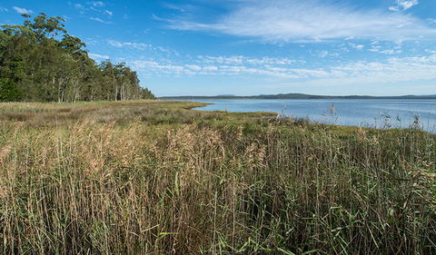 Lake Innes Nature Reserve - Darwin Holiday 3