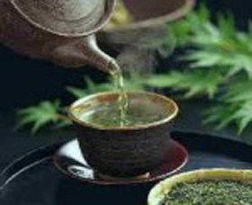 World Par-TEA - Darwin Holiday 0