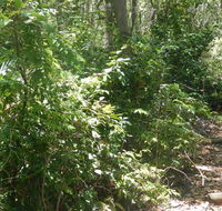 Bridle trail - Darwin Holiday
