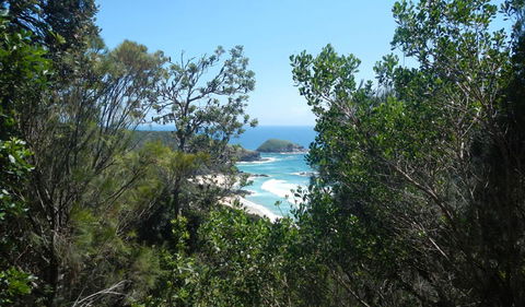 Jack Perkins Walking Track - Darwin Holiday 1
