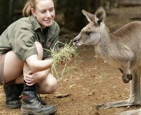 Macadamia Castle - Darwin Holiday 2