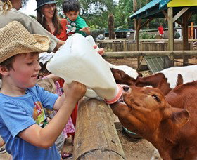 Macadamia Castle - Darwin Holiday 5