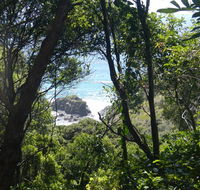 Rainforest walking track - Darwin Holiday